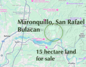 Maronquillo property 15 HAS