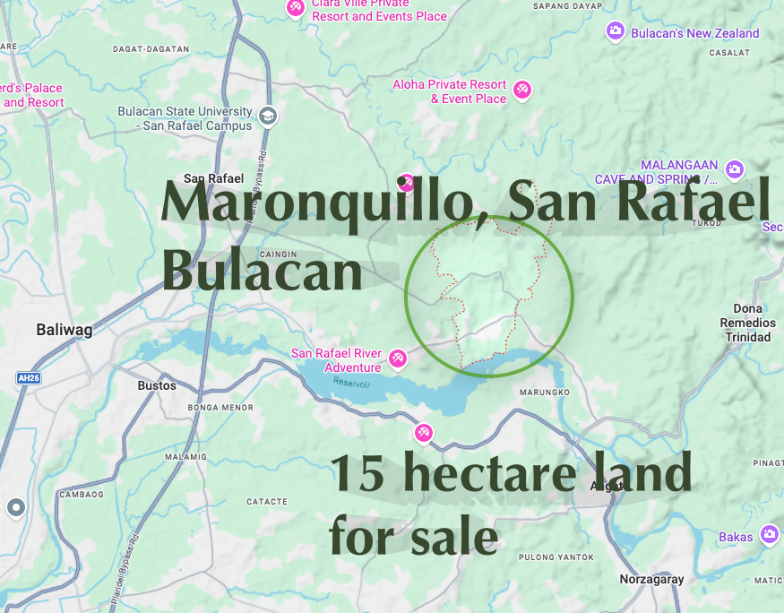 Maronquillo property 15 HAS